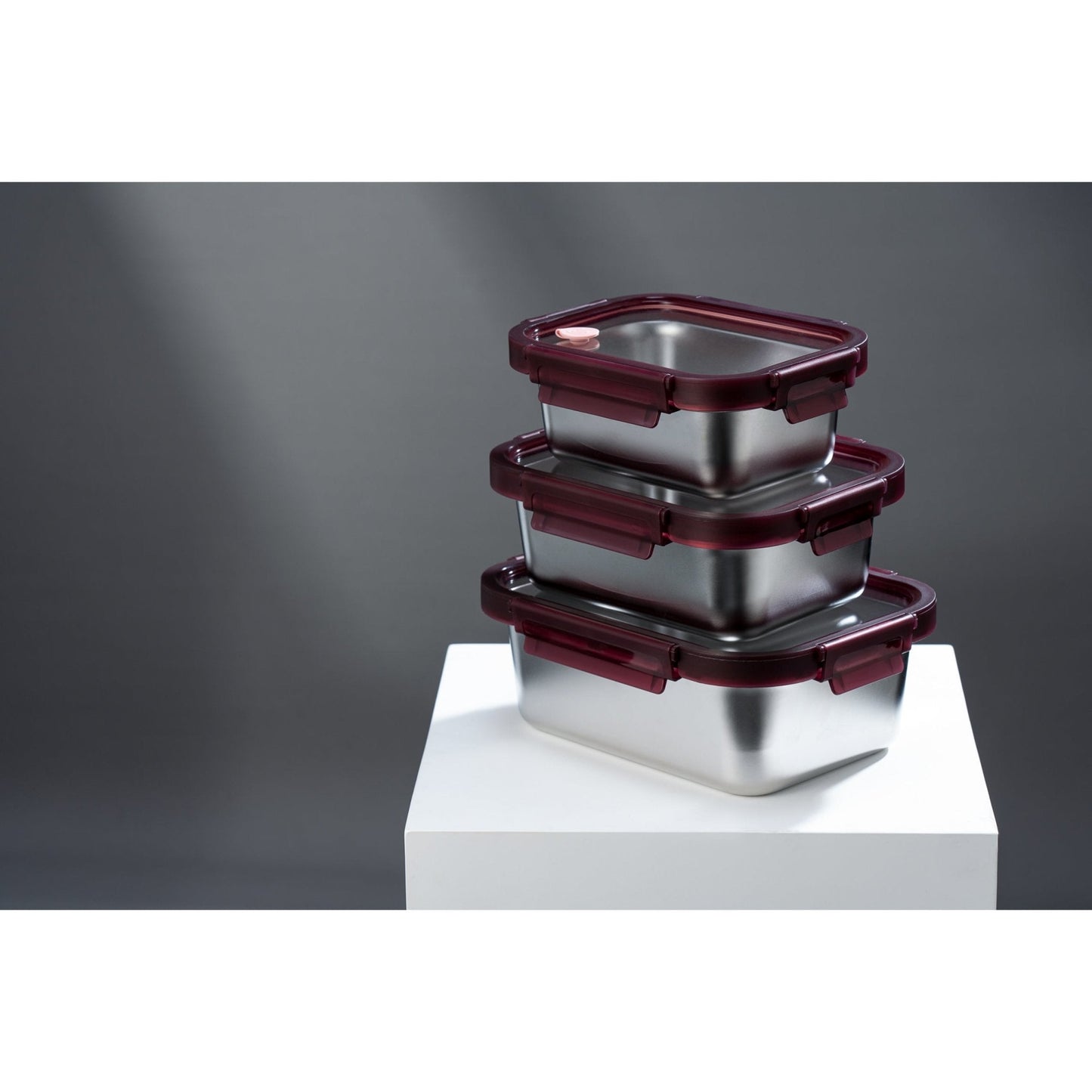 Microwave Safe Stainless Steel Container (RC)